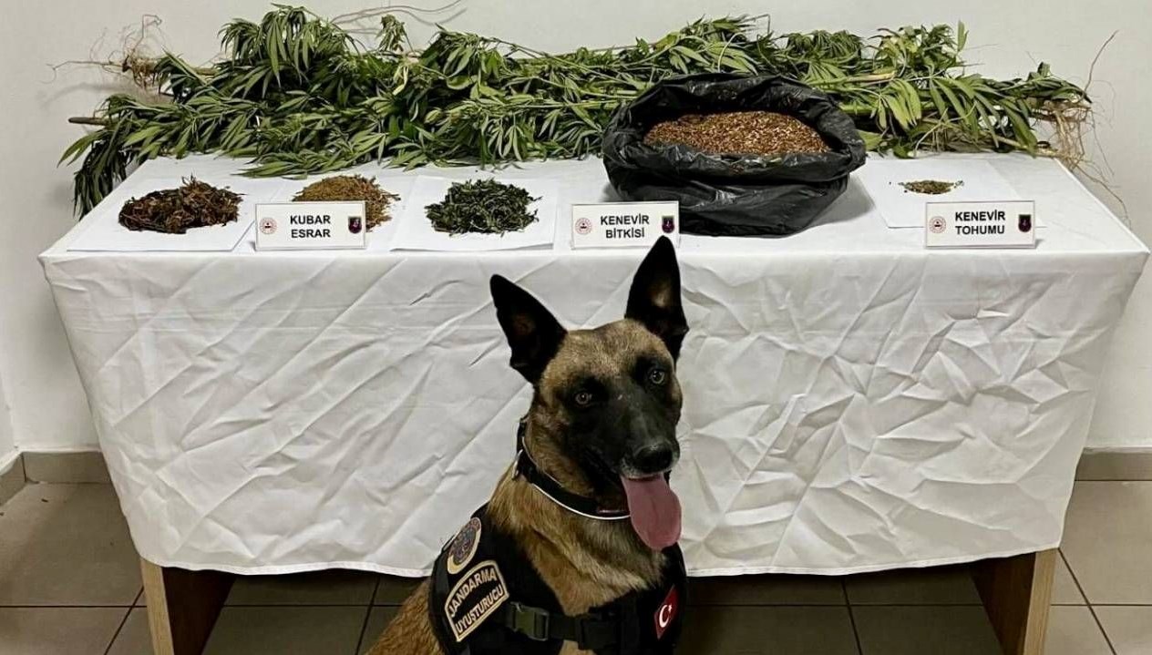 afyonkarahisarda uyusturucu operasyonu K3yY3SMP