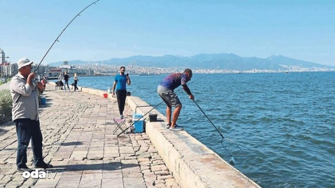 izmirde korkunc olay oltaya insan kafasi takildi qcmYJTcB.jpg