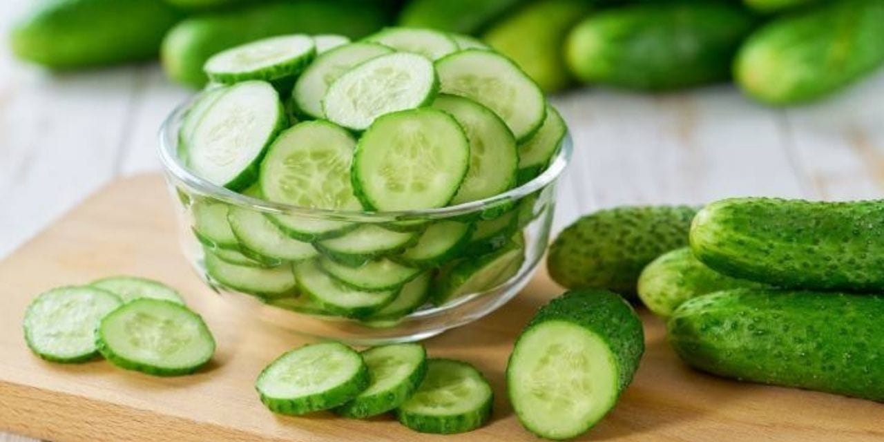 salataliklar neden balik kokuyor BUPX95cB.jpg