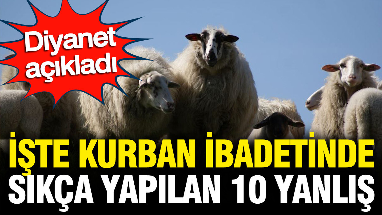 Diyanet’ten Kurban İbadetiyle İlgili 10 Yaygın Yanlış